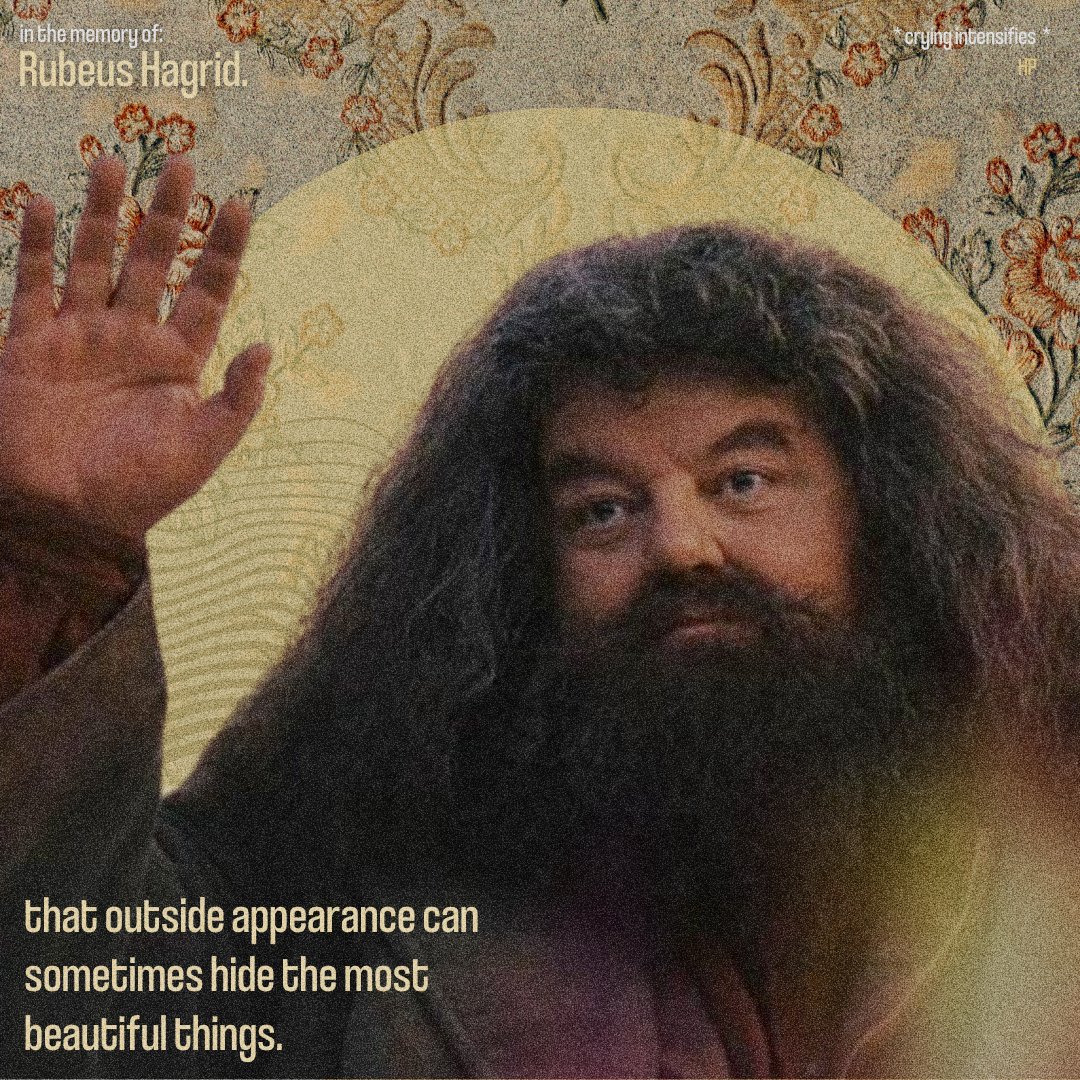 abishkelngo's tweet photo. there's no Hogwarts without you Hagrid https://t.co/54kwk8twnn