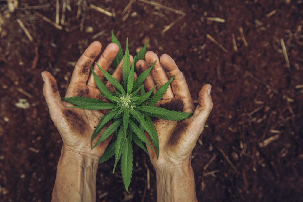 LifeInBmore's tweet photo. Political notes: Can marijuana ballot question boost turnout? Plus, 'Unite the Right' changes its name, and more - Maryland Matters
https://t.co/sFiiC80jJz
~~~
#LifeInBmore #BmoreLife #BmoreLiving #Baltimore #BaltimoreCity #CharmCity #BMore #MyBmore #BLM   #EastBaltimore https://t.co/0uwrHsDYfM