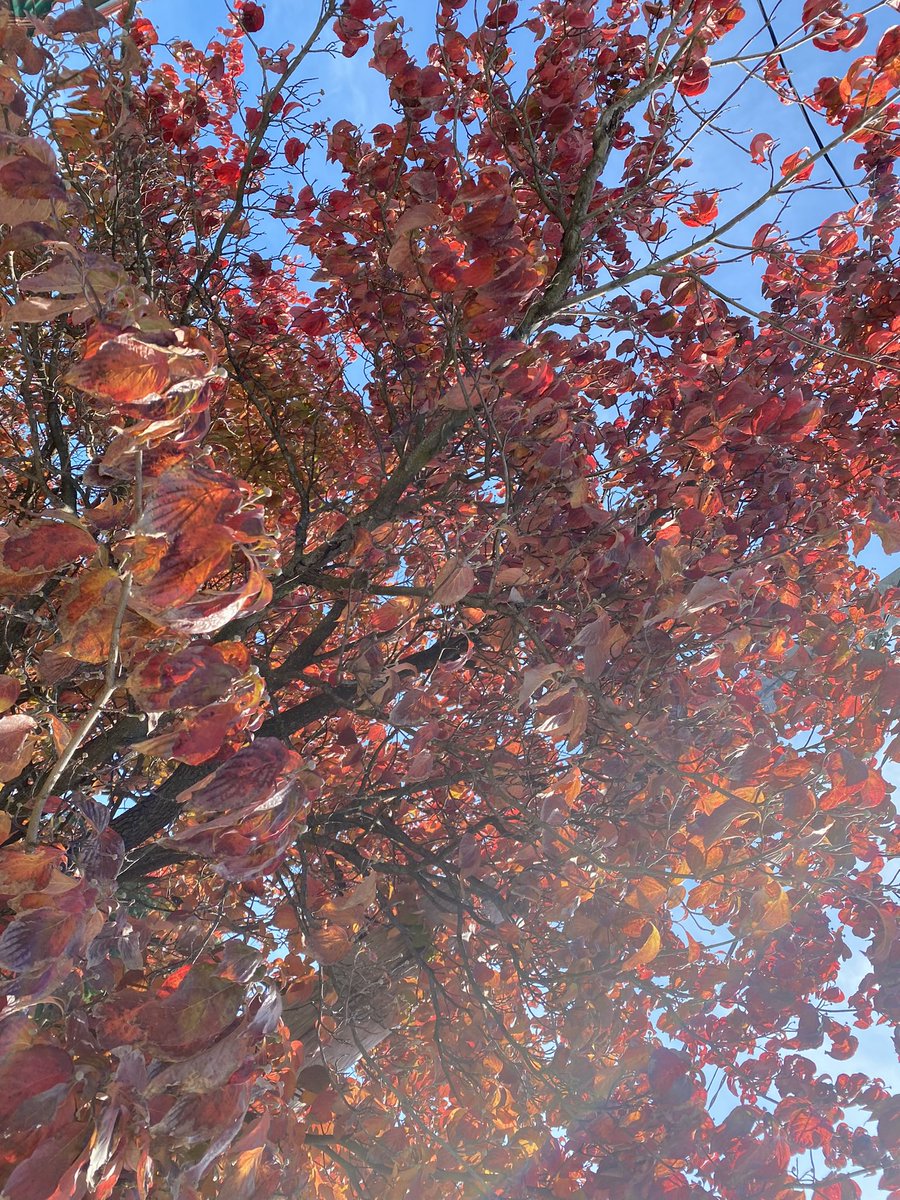 #deepcleansingbreath