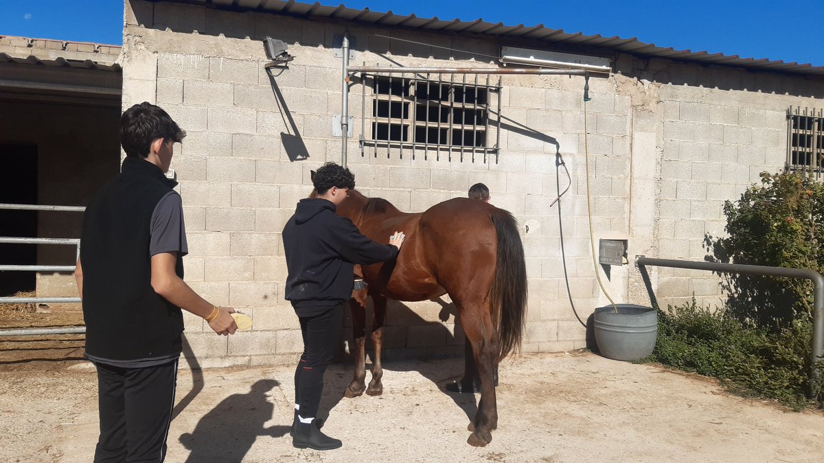 El alumnado de 1° <a href="/AFDCaspe/">AFD Caspe</a> del <a href="/IESMardearagon/">IES Mar de Aragón</a> comienza las clases prácticas de Técnicas ecuestres en el Centro Ecuestre La Torre de Alcañiz.