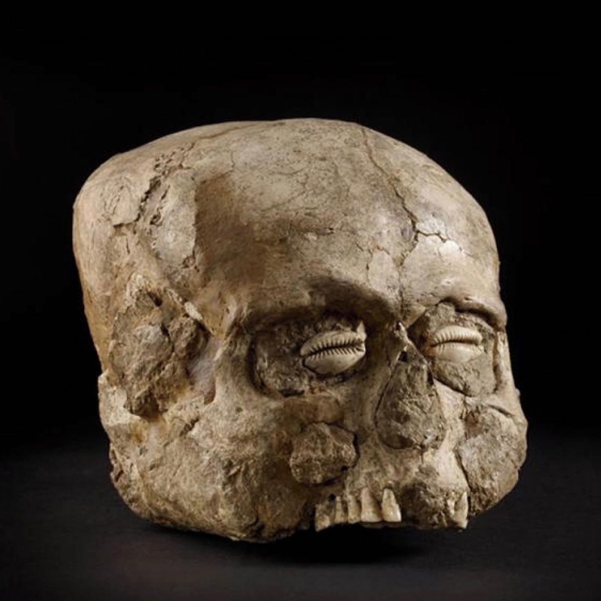 laercionull's tweet photo. Em 1953, os arqueólogos descobriram algo muito estranho nas planícies do deserto de Jericó… um crânio de 9.000 anos que veio a ser conhecido como “O Crânio de Jericó”. 

#estranhocoisas #antropologia #humanóides  #ancientcivilization #ancientworld  #ancientaliens https://t.co/VAgqbnJYMa