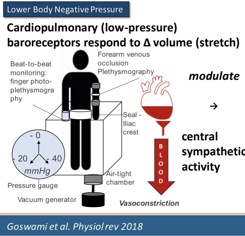 Prash Sanders (@prashsanders) on Twitter photo I enjoyed presenting <a href="/Dr_VarunMalik/">Varun Malik</a> work on the functional evaluation of the autonomic nervous system in #AFib <a href="/VArrhythmias/">Venice Arrhythmias</a> #VA2022 The use of lower body negative pressure to evaluate ANS function is going to make a big difference to evaluating volume receptors in AF #CHRD I enjoyed presenting <a href="/Dr_VarunMalik/">Varun Malik</a> work on the functional evaluation of the autonomic nervous system in #AFib <a href="/VArrhythmias/">Venice Arrhythmias</a> #VA2022 The use of lower body negative pressure to evaluate ANS function is going to make a big difference to evaluating volume receptors in AF #CHRD
