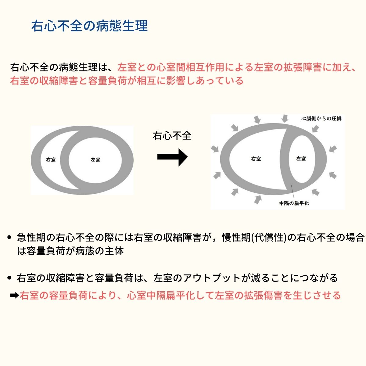 Jcrow_51's tweet photo. 右心不全ってすごく難しい病態だと思います🤔

右心不全の血行動態をイラストの波形をもとに解説！
その他にも病態生理、管理方法を解説していきます📚 https://t.co/JElKQnEUcl