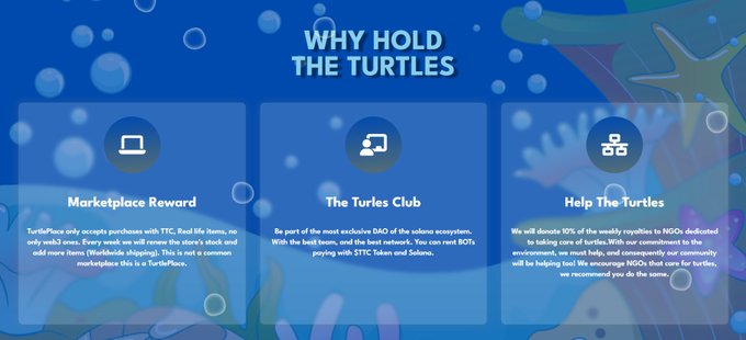 Zooverse_Nft's tweet photo. Mint today @TheTurtlesClub: ''view that encompasses web3 and web2, we believe that both webs have been walking in parallel for a long time, and the time has come to make them meet and share the same space, we introduce the "TurtlePlace"

#Solana  #SolanaNFT #NFTs #NFT #NFA #DYOR https://t.co/OLq8gGjX7D