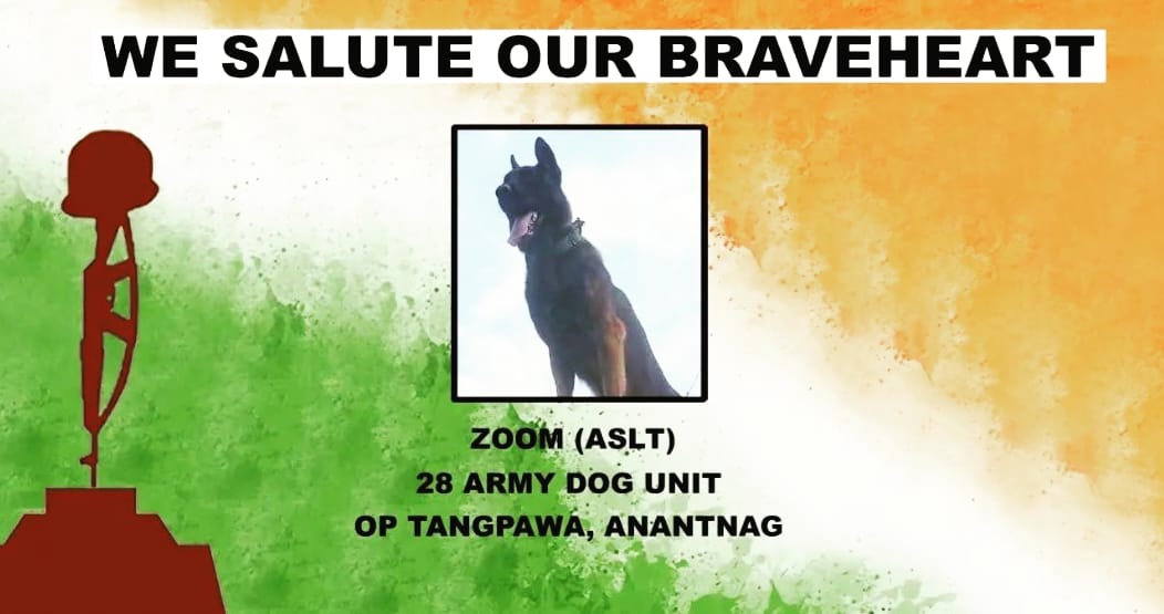 Some Heroes have Paws 🐾🐾

#Zoom #IndianArmy