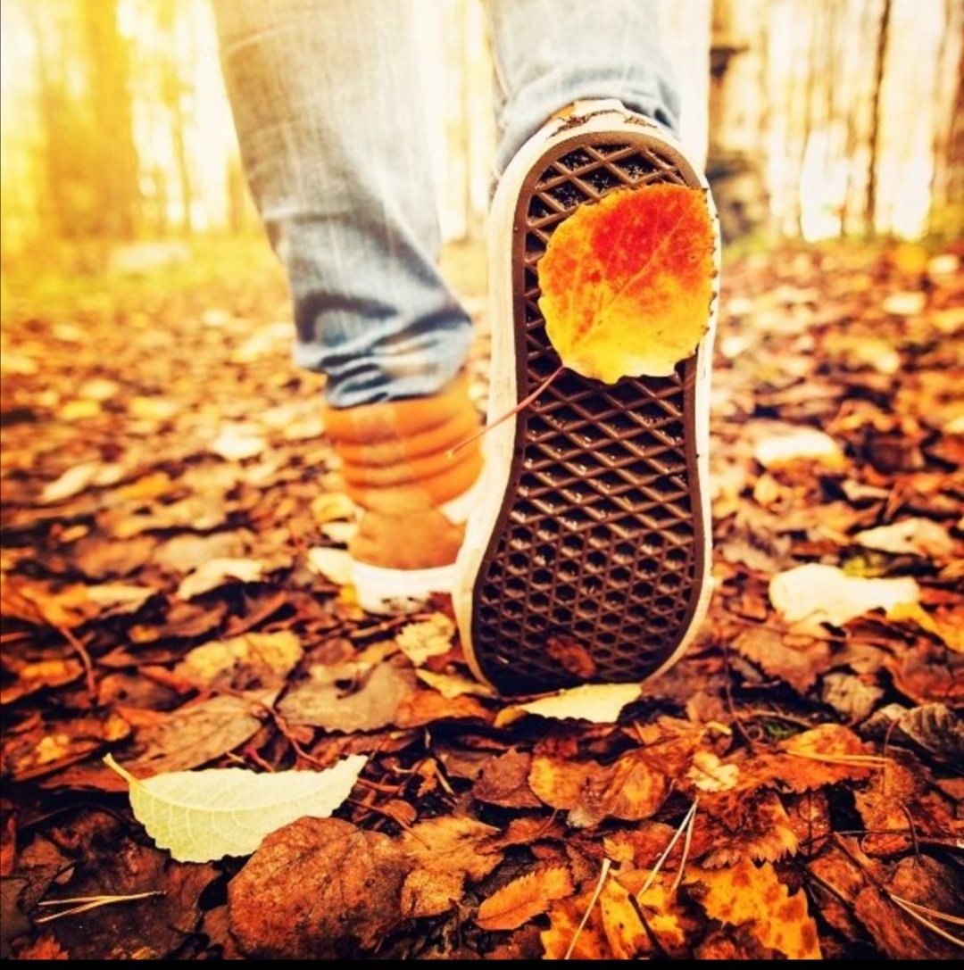 snail.step tweet media