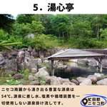 水産・青汁のウオス｜進風 Inc.【公式】のツイート画像