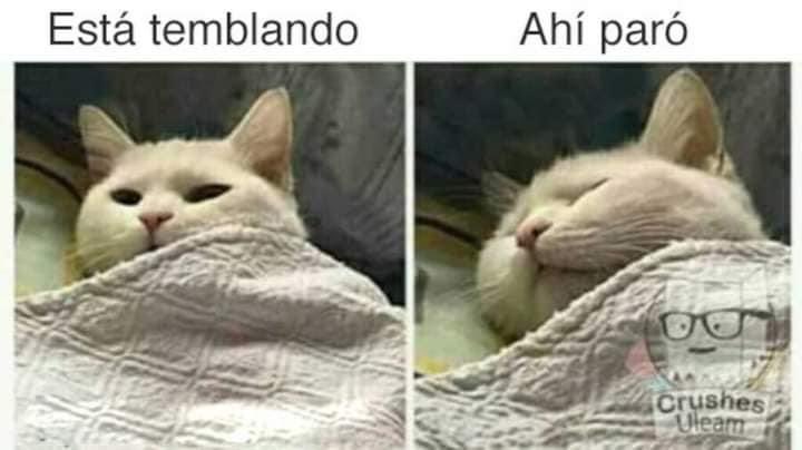 TuiteroGuayaco's tweet photo. A mimir 😴 https://t.co/kWsp3HpsOD