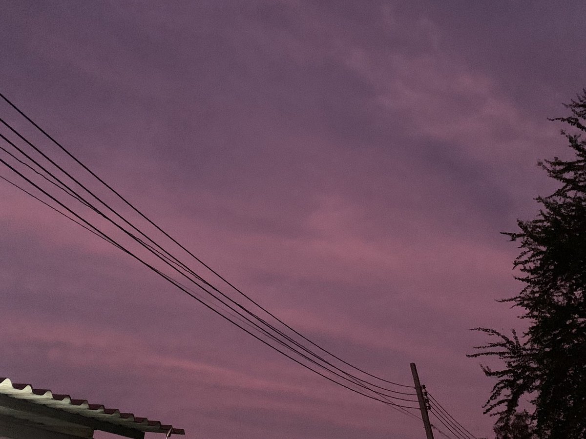 มอสอ tweet media