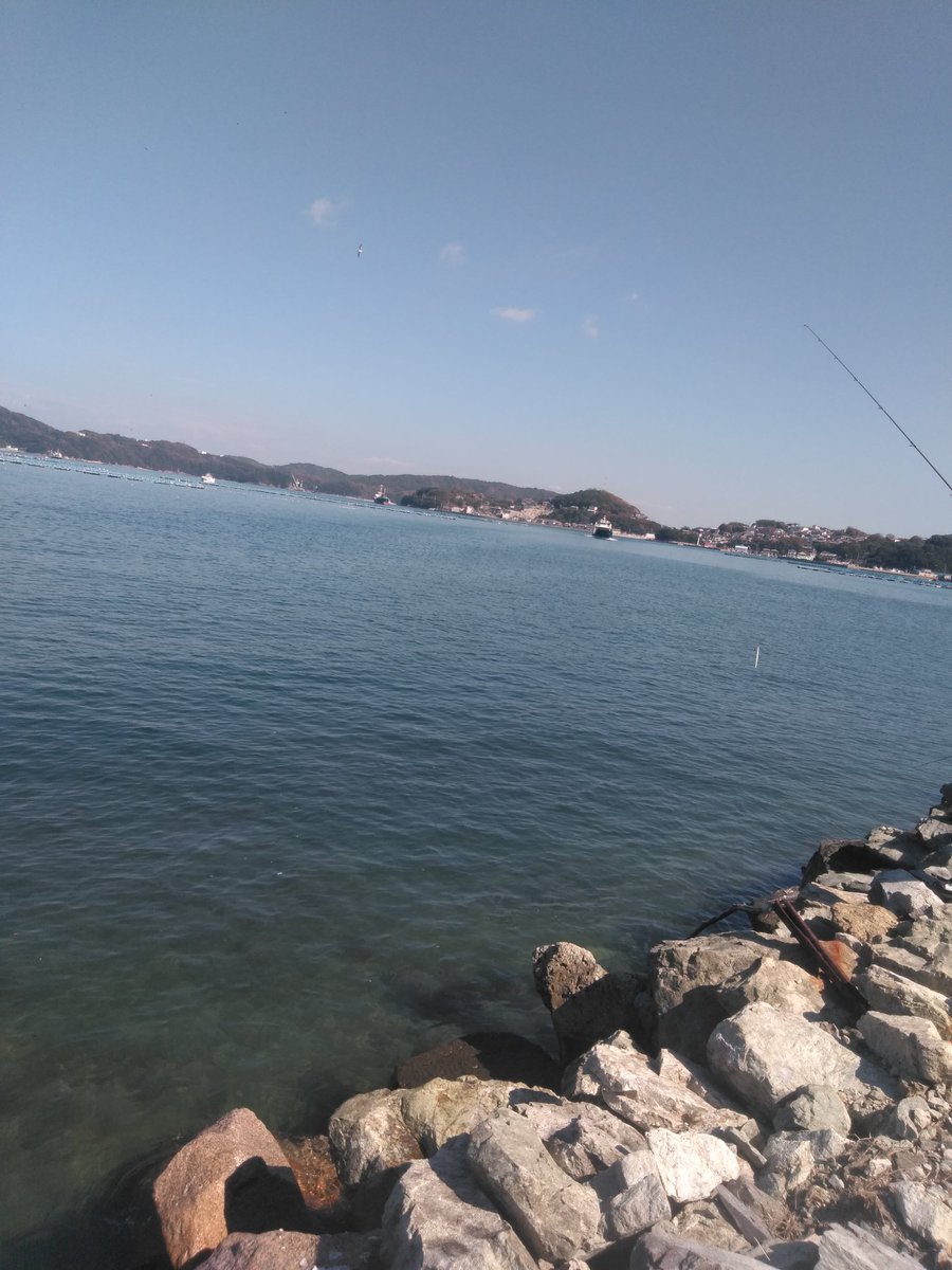 takki22angler's tweet photo. またまた小骨野郎×2
一昨日のお一人様で青物5本はいったい‥
ジギンガー10人くらい全員0青物
#マエソ
#JACKALL
#BIGBACKER
#SLIDESTICK
#イワシグローベリーボーダーホロ https://t.co/YXLXOCDDkM