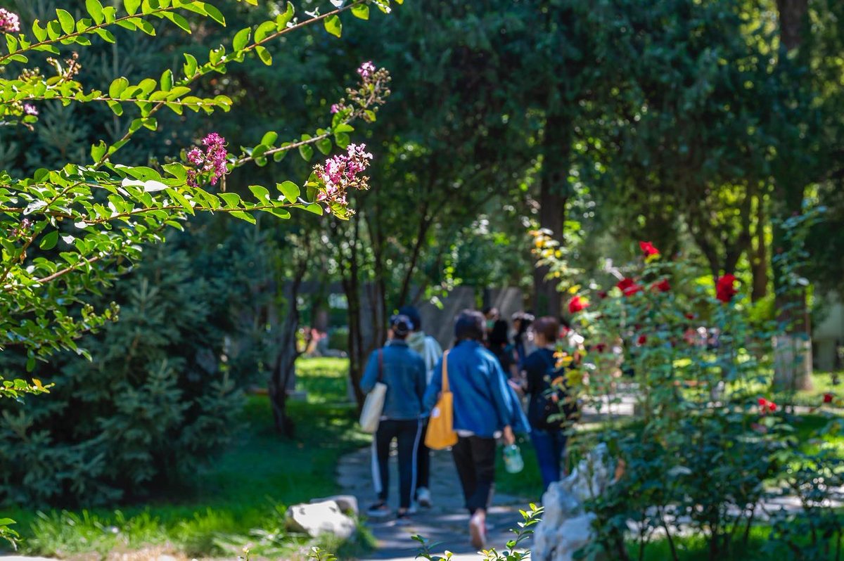 zhang_heqing's tweet photo. #BFSUcampus #studentlife
Is this your vision of campus life? https://t.co/W1hidxttbt