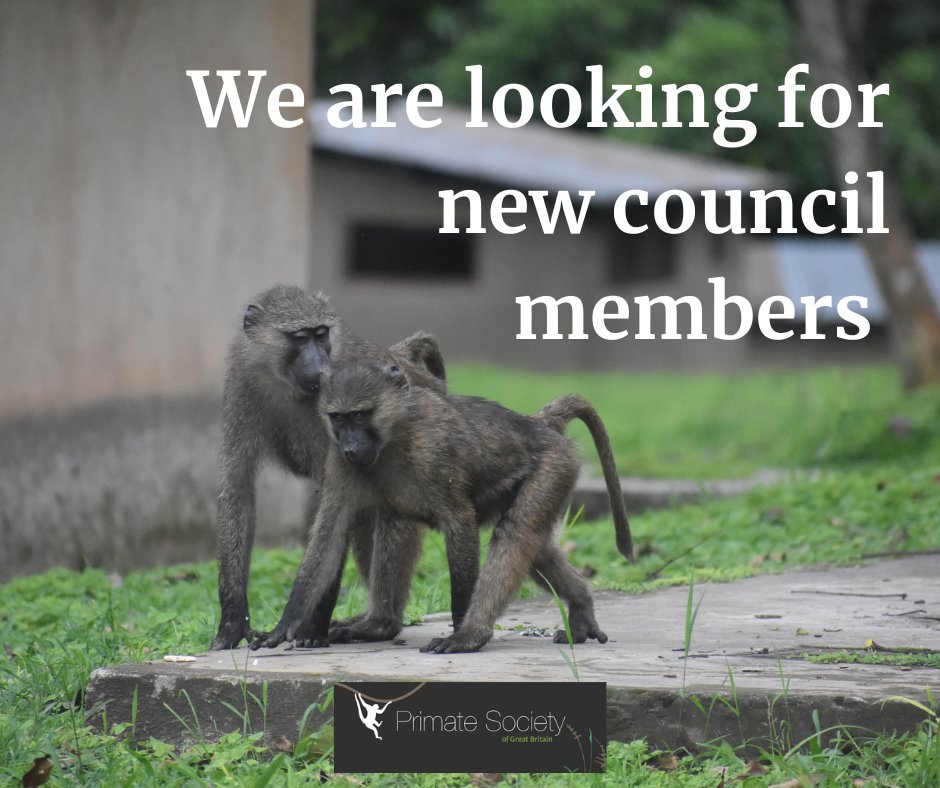 Would you like to stand on PSGB council? We are now accepting applications for Meetings Officer, Impact Officer, Chair of the Captive Care Committee &amp; Student Officer! Read on to see how to apply 👇