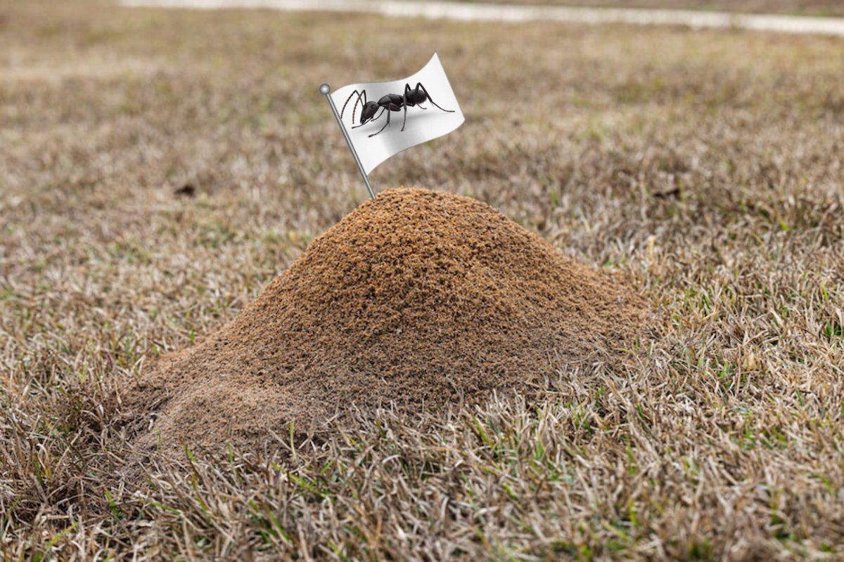 who wants to egg ant frat with me??