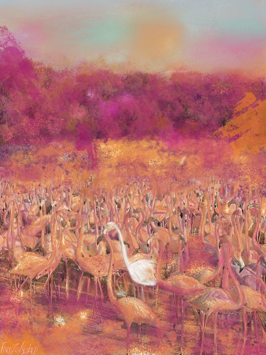 firoozeh_solati's tweet image. good morning sweetie 💗💗💗💗🦩🦩🦩🦩🦩🦩