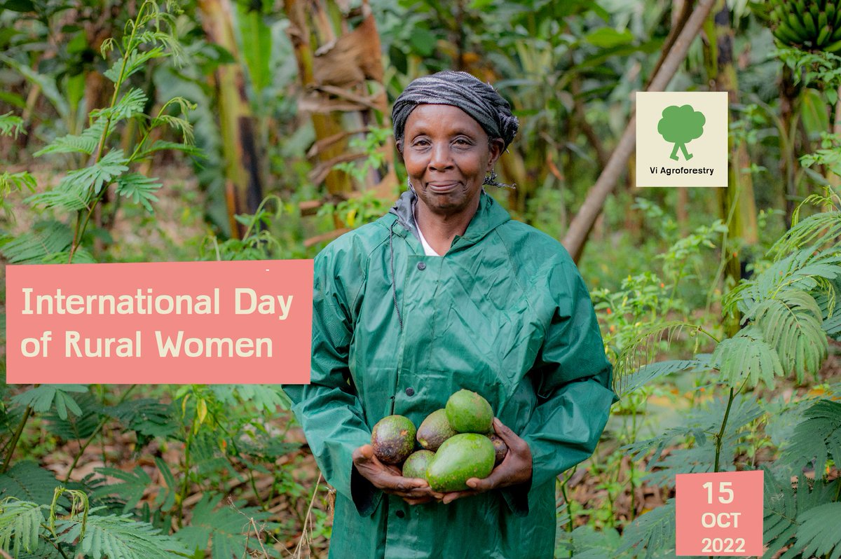 Today is #InternationalDayofRuralWomen ! 👩🏼‍🌾
We celebrate the vital role that rural women play in our #foodsystems, fighting hunger, #poverty and #climatechange. The involvement of rural women in decision-making is key to achieving the #SDGs #RuralWomenDay #IDRW2022 #agroforestry