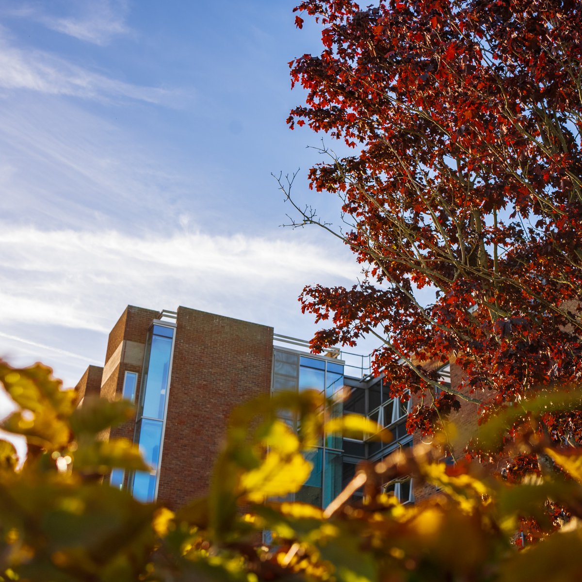 University of Kent tweet media