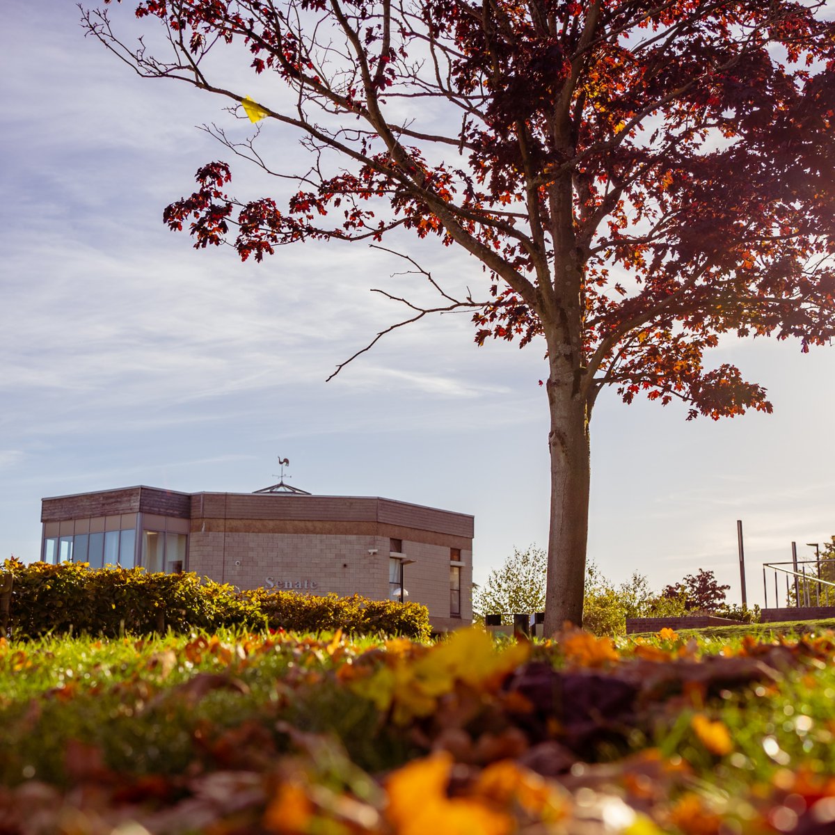 University of Kent tweet media