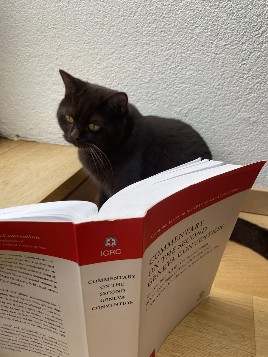 epolicinski's tweet photo. Happy #caturday! #GCII #catsofIHL https://t.co/GbdthZs5j8