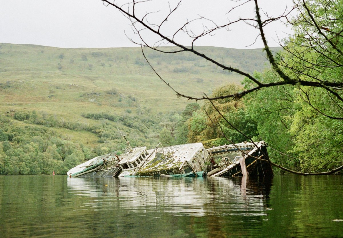 HuangWrites's tweet photo. Portra 800 film photographs taken in Scotland https://t.co/2waNs3VrLA