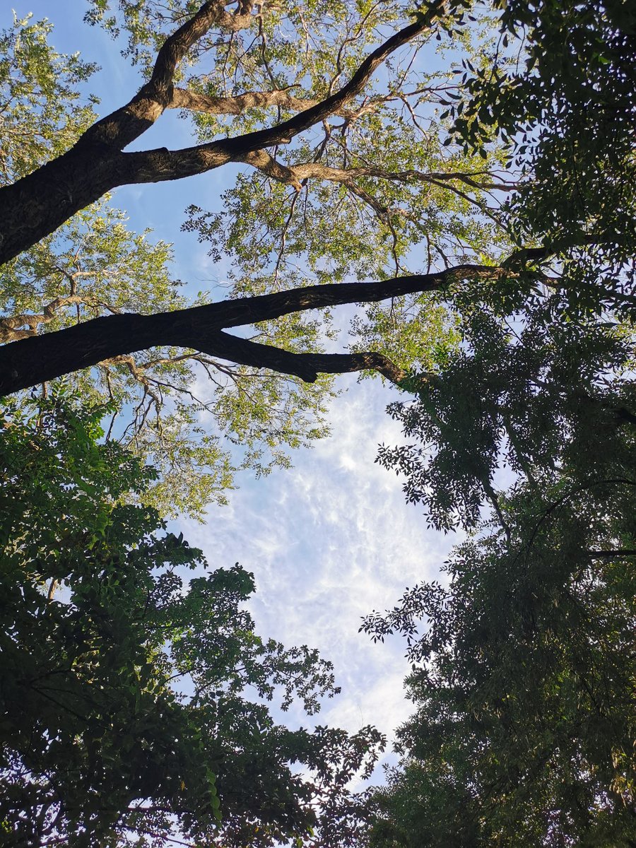 baixq's tweet photo. 明媚清晨 https://t.co/zQcIVxxiX4