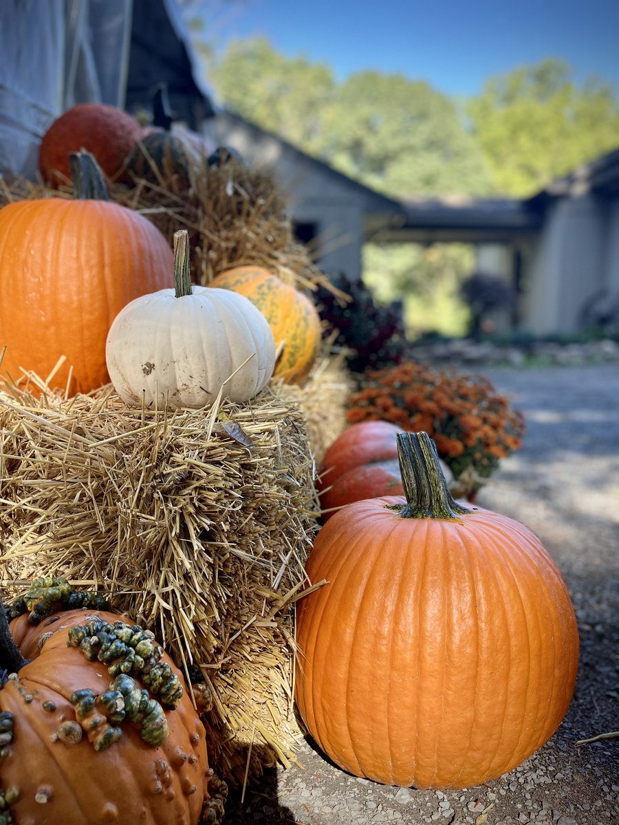 Final days of the 2022 Designer House! Today’s forecast, 72 &amp; sunny! Treat yourself to the one of our most splendid homes and gorgeous autumn gardens! 
Please Like &amp; Share 
Follow us on Instagram.