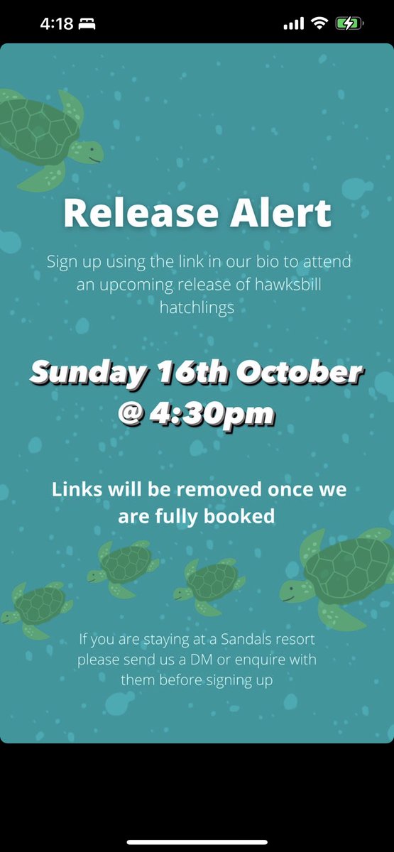 Oracabessa Bay Sea Turtle Project (@oracabayturtles) on Twitter photo 