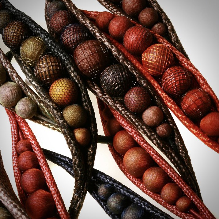 Bridget Bailey tweet media