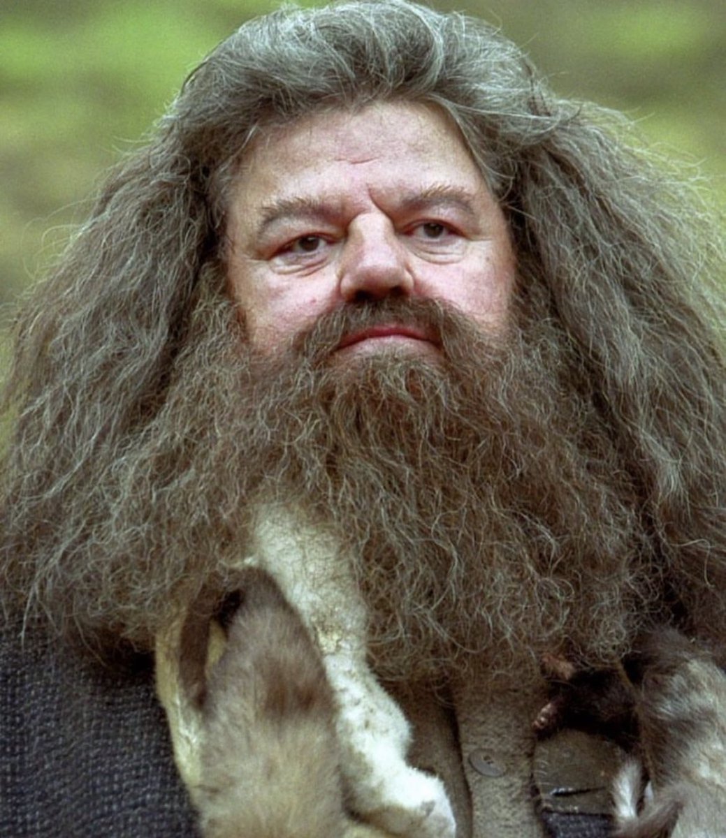 Hep kalbimizde olacaksın Hagrid! 🤍

#rip #robbiecoltrane #beman