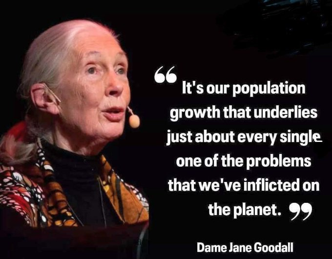 Achim1106's tweet photo. The POPULATION EXPLOSION makes sustainability impossible. Without a mandatory limitation of the number of offspring, we will not have a good future. Because OVERPOPULATION is the ROOT CAUSE of the climate catastrophe. Sign https://t.co/mNJla7qxbB https://t.co/CUOYbsphFZ