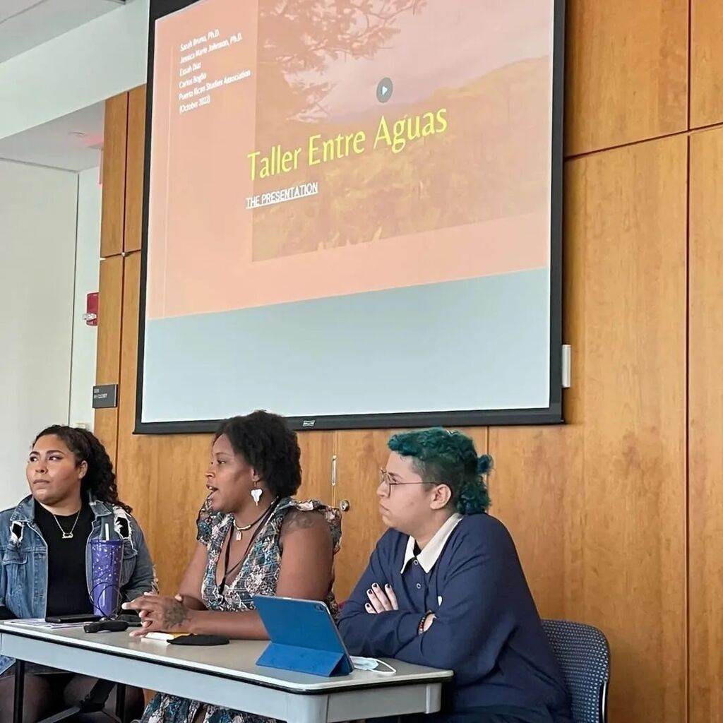 adphdbooks's tweet image. #repost @dslprojects Congratulations @tallerentreaguas on your launch week!!! Congratulations to all the DSL presenters at the Puerto Rican Studies Association meeting! #PRSA2022 🇵🇷🌊 instagr.am/p/Cjuh23cOz0o/