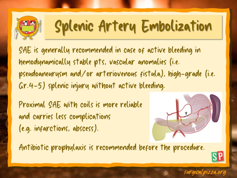 Surgical Pizza tweet media
