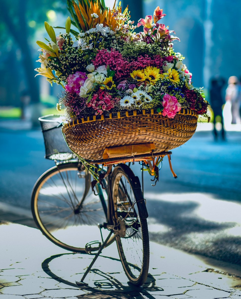 Our dream bike basket 😍🌸

#nature #outdoors #beauty