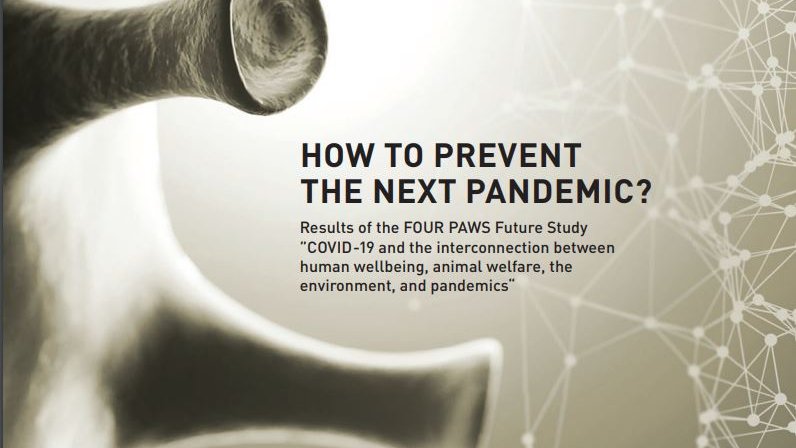 fourpawsint's tweet photo. #TheySufferWeSuffer ⚕️You can read more about why to include animal welfare in the FOUR PAWS #FutureStudy, the contents of which are unfortunately still valid and not addressed enough ➡ https://t.co/Op8vnf22aC #WHS2022 @WorldHealthSmt https://t.co/Y3Zxq8N0Xy