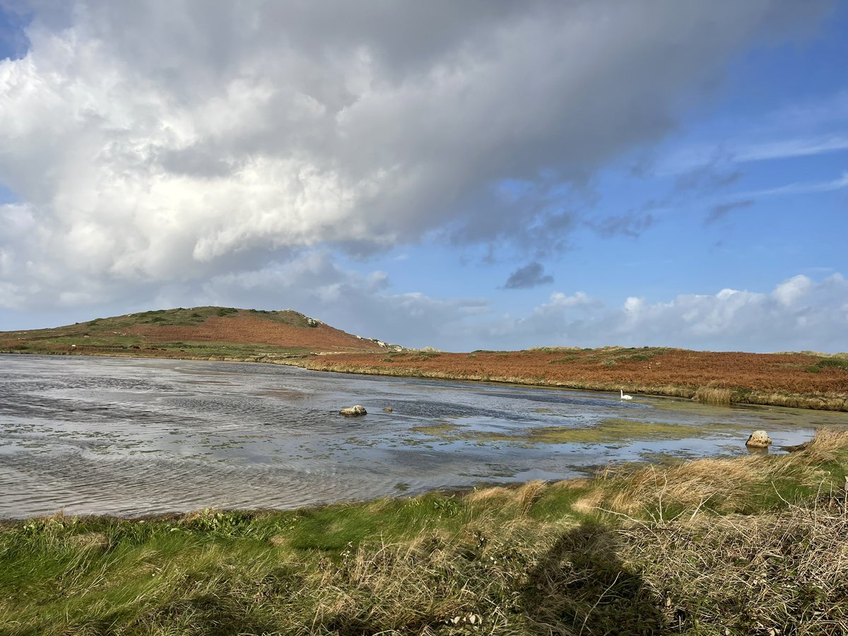 liz_fenwick's tweet photo. Morning #plotwalk making a TikTok video taking about setting as character and referencing @K_RhodesWriter and her fabulous #islesofscilly based crime novels #hellbay #bryher https://t.co/QwfWZAwTee