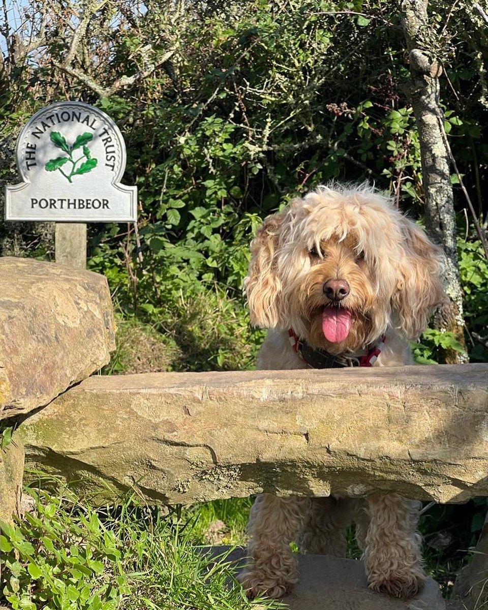 Imagine life without <a href="/nationaltrust/">National Trust</a>.I’ve just started walking the southwest coastal path. They look after these places for the nation and they do it SO well. They quietly enrich our lives and sometimes we don’t appreciate what they do . So thank you from me .