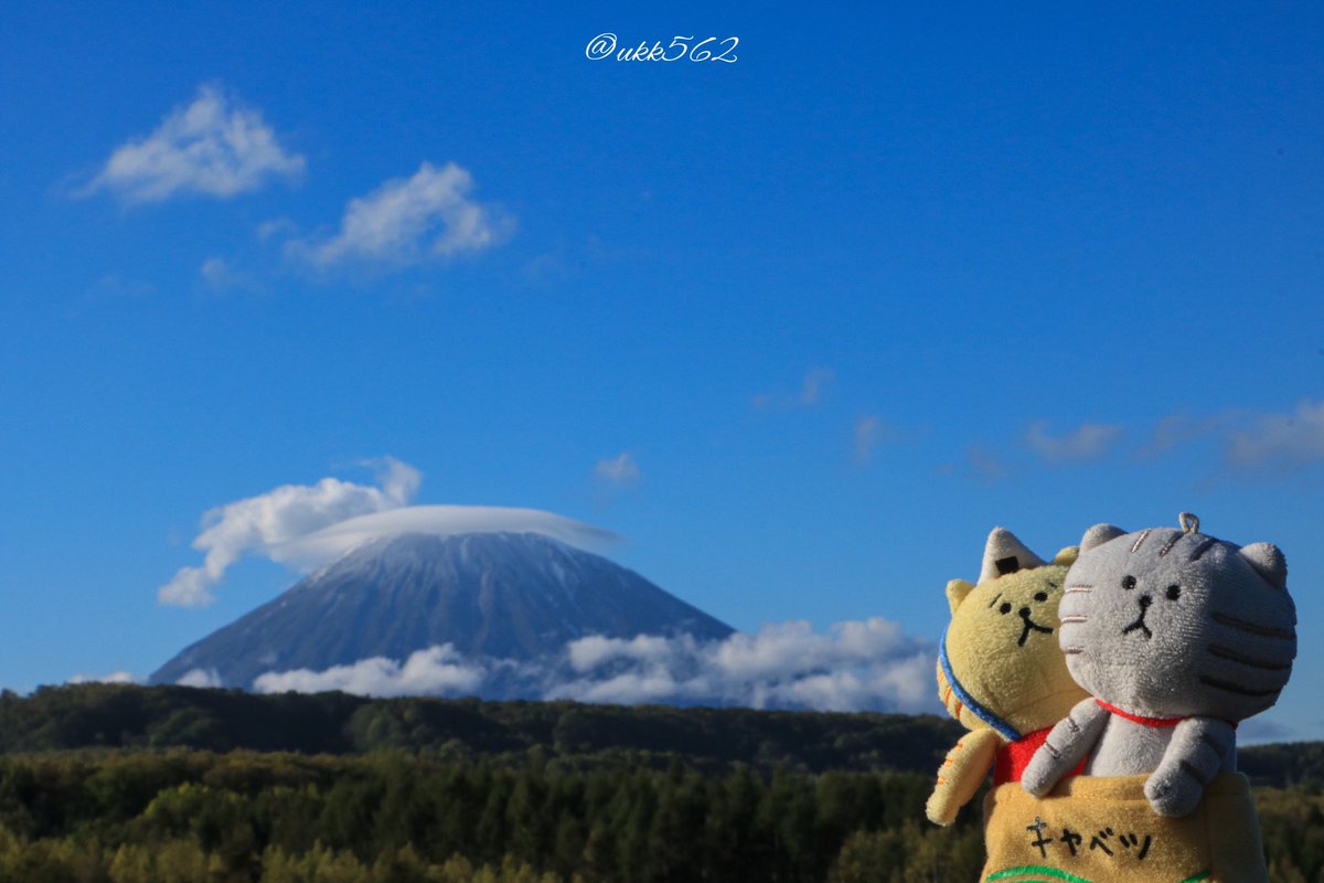 ukk562's tweet photo. 「あのお山はなんていうの？」
「羊蹄山だよ、蝦夷富士って言われてる綺麗なお山だよ」
「ほぅほぅ」
って会話が聞こえるような…( *ˆ︶ˆ* )

 #ファインダー越しの私の世界
 #写真好きな人と繋がりたい
 #photography
 #562camera 
 #ごろごろにゃんすけ
 #mindwave
 #羊蹄山 #笠雲 https://t.co/GzKL8lqNHM