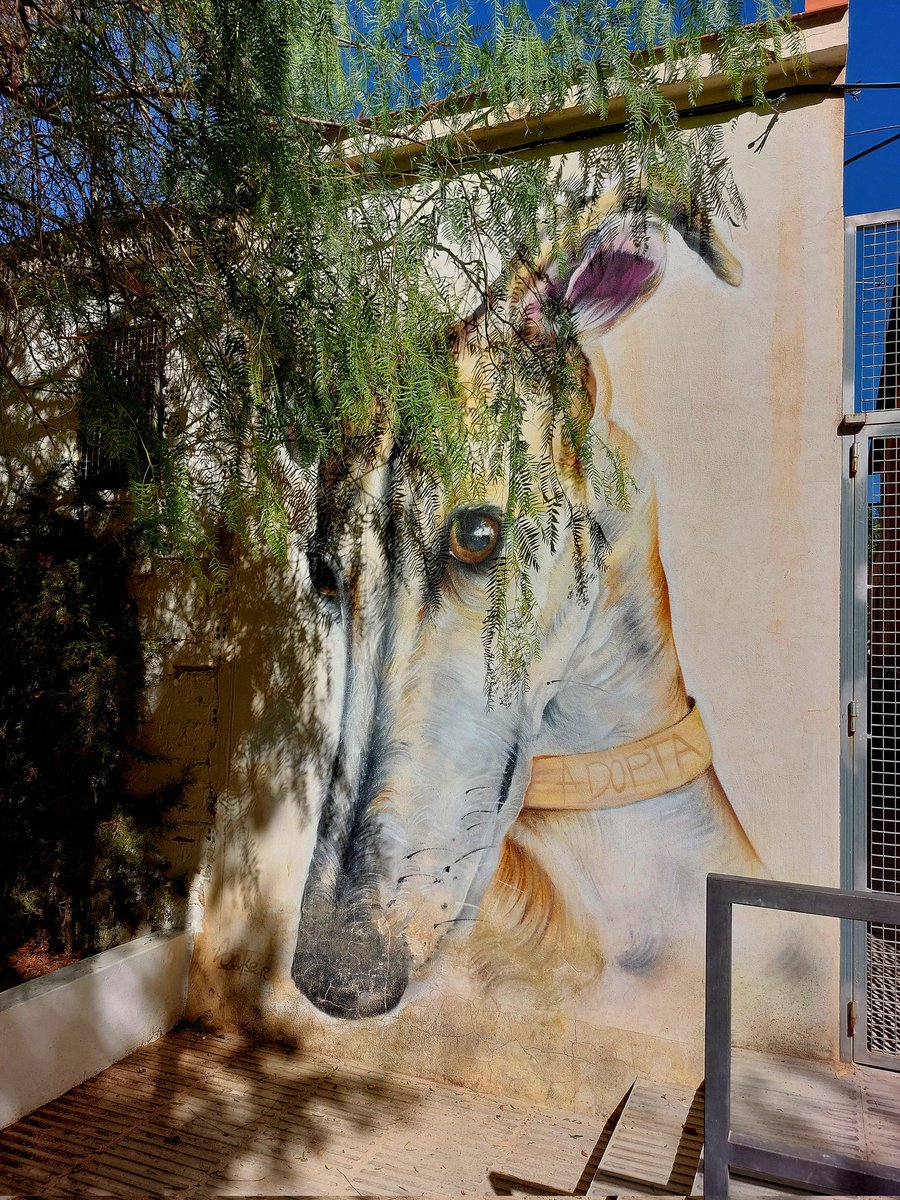 MolinaStreetArt's tweet photo. 'Adopta' by Spanish Sake Ink in Baena, Spain (2018) #sakeink #baenastreetart #streetart #lamolinastreetart 📷 by me. https://t.co/xaAC5m4uwu