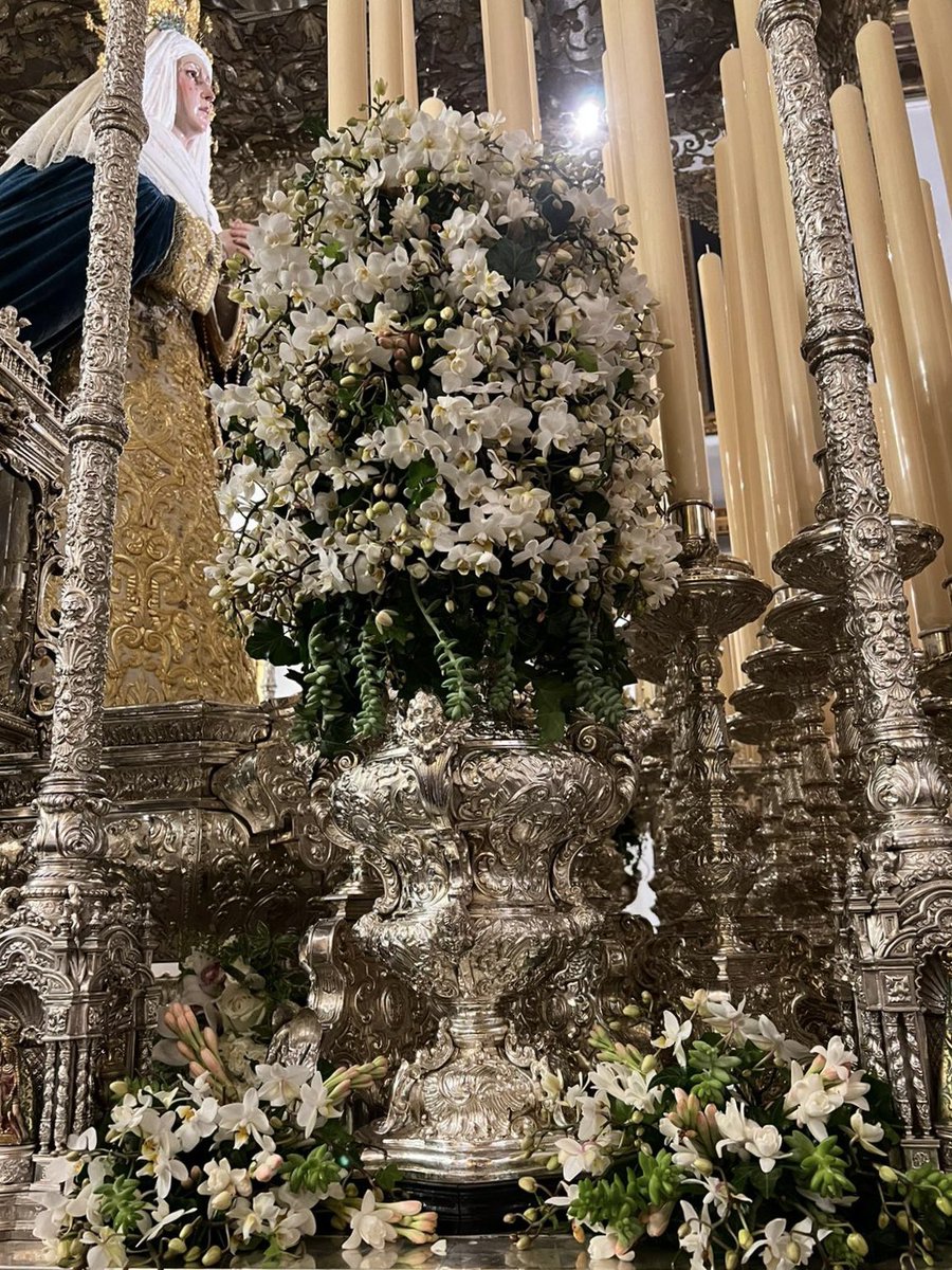 JaviGrado's tweet photo. Mª Stma. de la Aguas de la @Hdad_Museo amanece exornada para la Misa Estacional y Procesión extraordinaria de #250AguasMuseo con mini orquídeas phalaenopsis, nardos, sedum morganianum y hedera hibernica. https://t.co/mws8O5nspZ