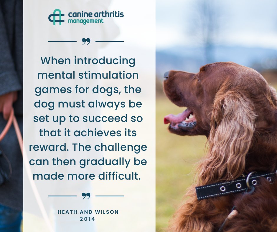 Hey CAM followers, 

Here's a nugget of info related to enrichment activities for your dog...
Save this for later!
#YourDogMoreYears