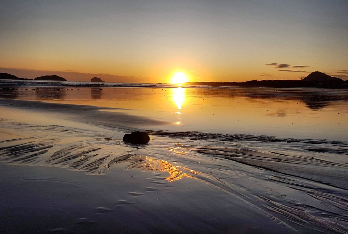 Mike Wood tweet media