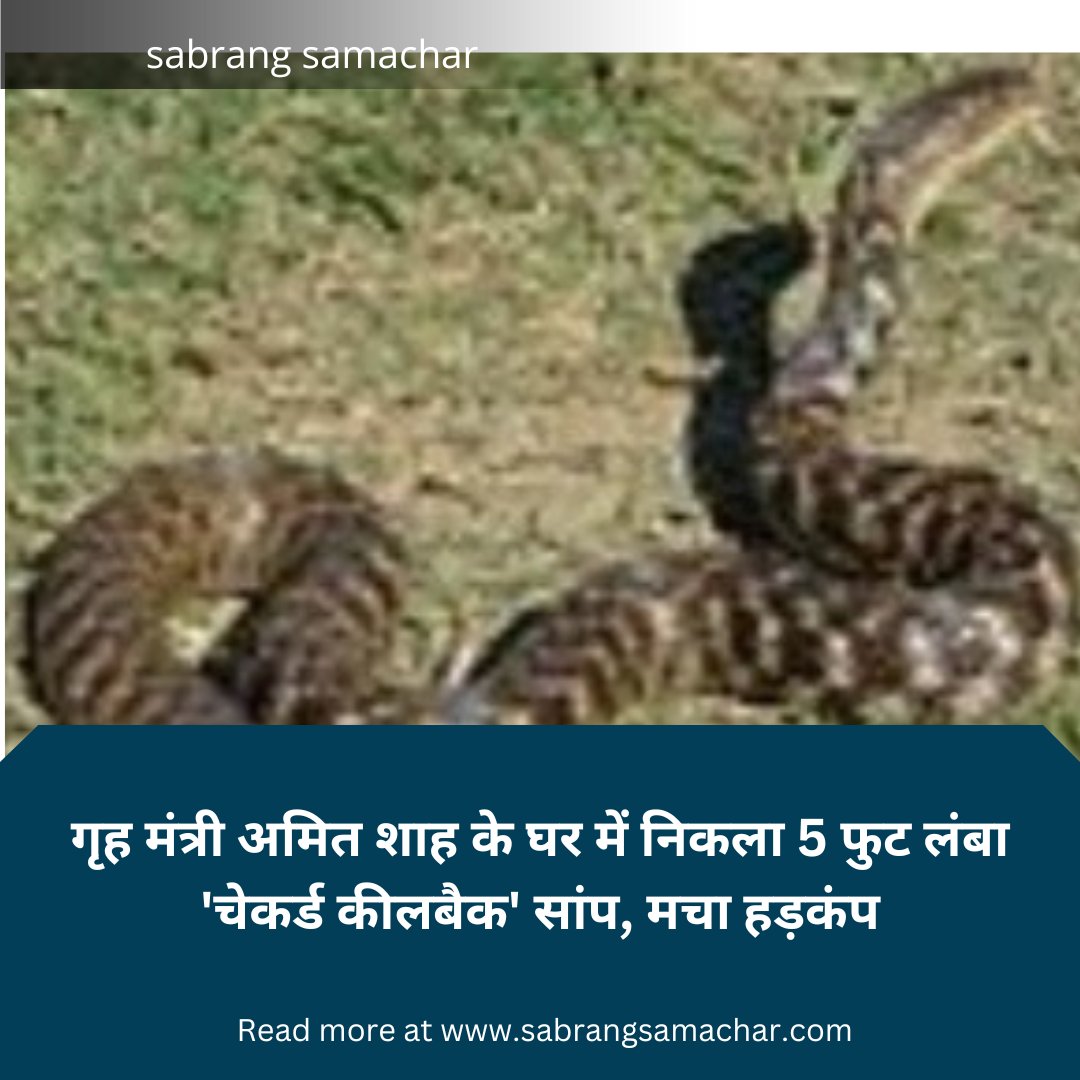 SabrangSamachar's tweet photo. @SabrangSamachar #AmitShah 
#HomeMinistry https://t.co/ixeUiLrKD9