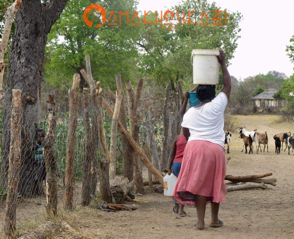 AmakhosikaziFM's tweet photo. Today is  #InternationalDayofRuralWomen, we honour all women living in remote &amp; often marginalised communities. We pay tribute to your hardwork &amp;resilience &amp;commit to telling your stories &amp; ensuring that your efforts to develop your communities do not go unnoticed 
#ZwakalaMama https://t.co/FPmfMDil6b