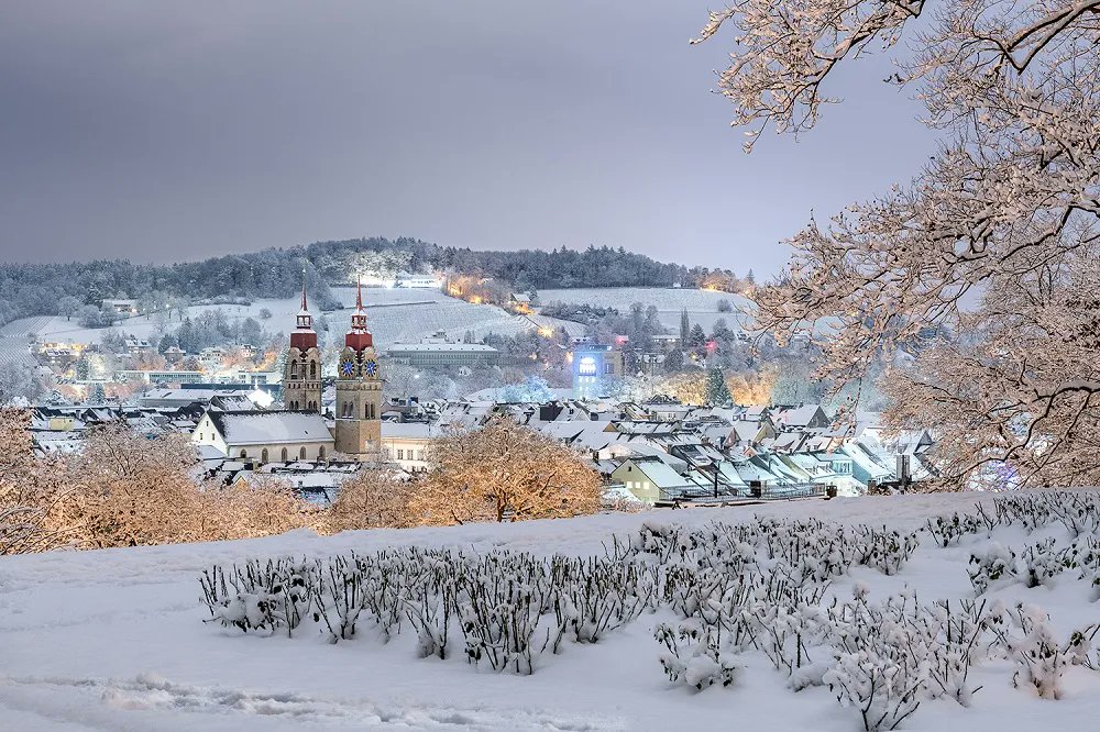 anna ott tweet media