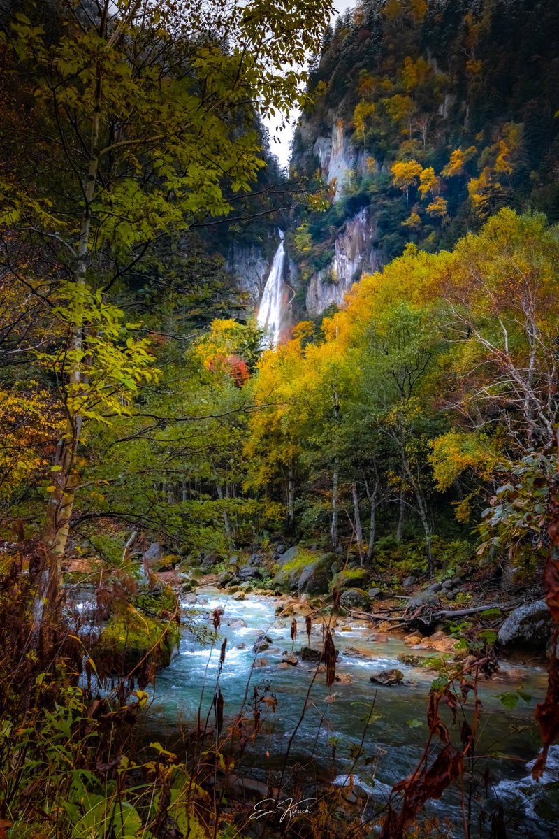 emin_kiss's tweet photo. 層雲峡の名所🍁
流星の滝
── 2022/10/08 photographing ──
#北海道 #層雲峡 #流星の滝 #紅葉
#canoneoskissx10 #canoneos #canon #canonphotography #canoncamera #emin_kiss #japan #hokkaido #landscape #waterf https://t.co/ifcekUl3lC