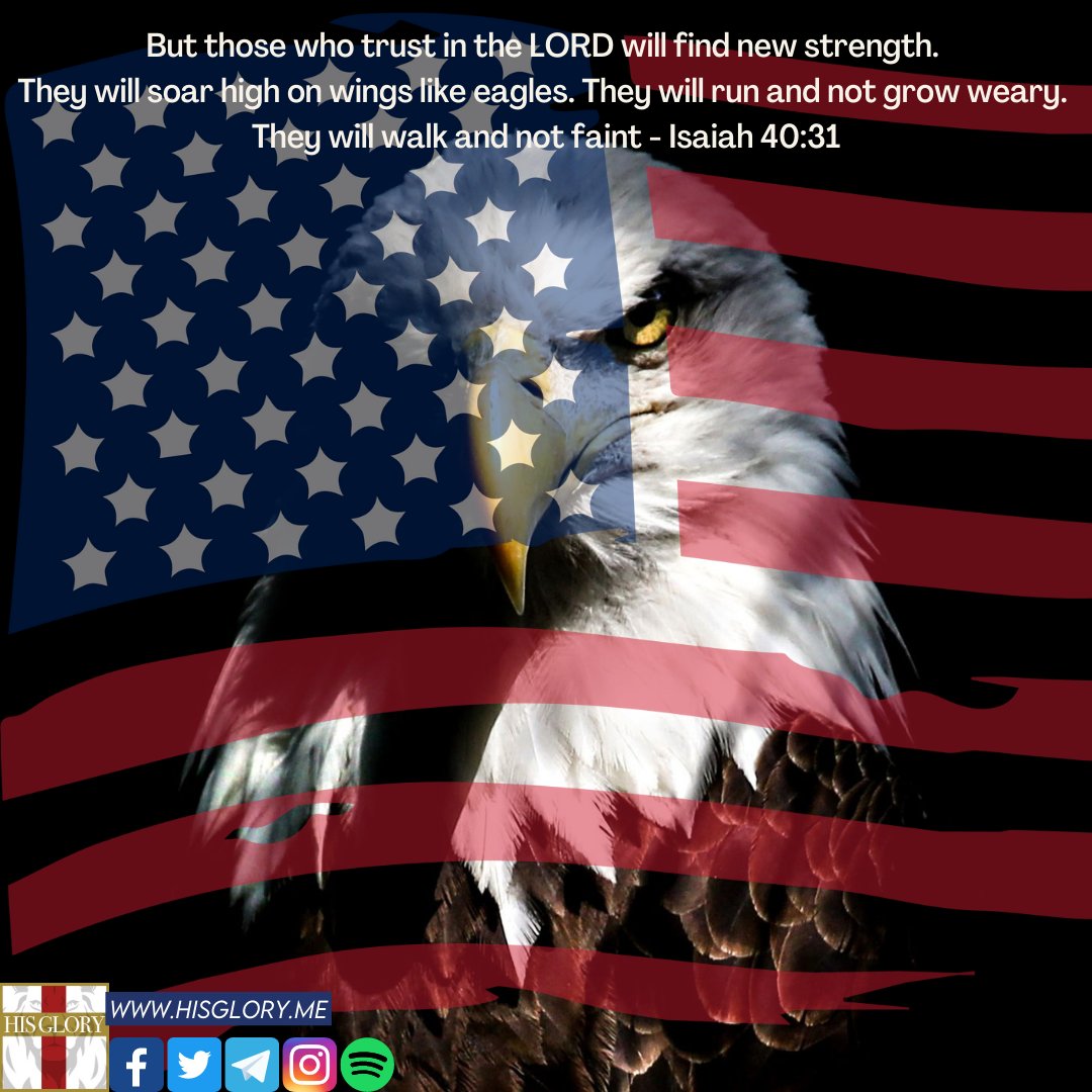 HISGLORYME's tweet photo. But those who trust in the LORD will find new strength.
They will soar high on wings like eagles. They will run and not grow weary.
They will walk and not faint - Isaiah 40:31
#eagle #eaglesoars #freedomwalk #highlikeaneagle #Runyourrace#runningfaith #wingsoffreedom #notfaint https://t.co/U9MDlBByp4