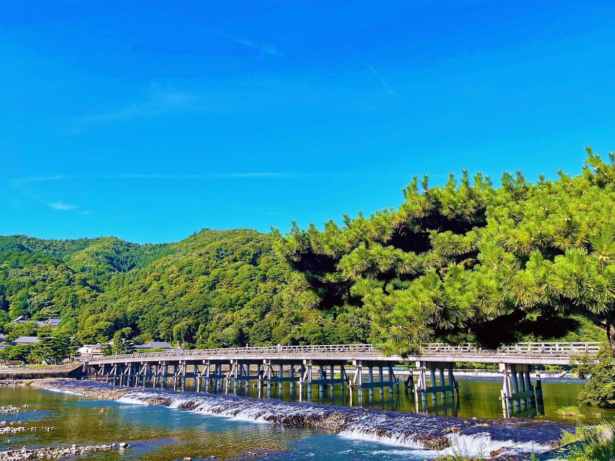 rustynail_esp's tweet photo. 春夏秋冬。
#京都 #東寺 #渡月橋 #清水寺 #金閣寺 https://t.co/1qLaSMTcPN