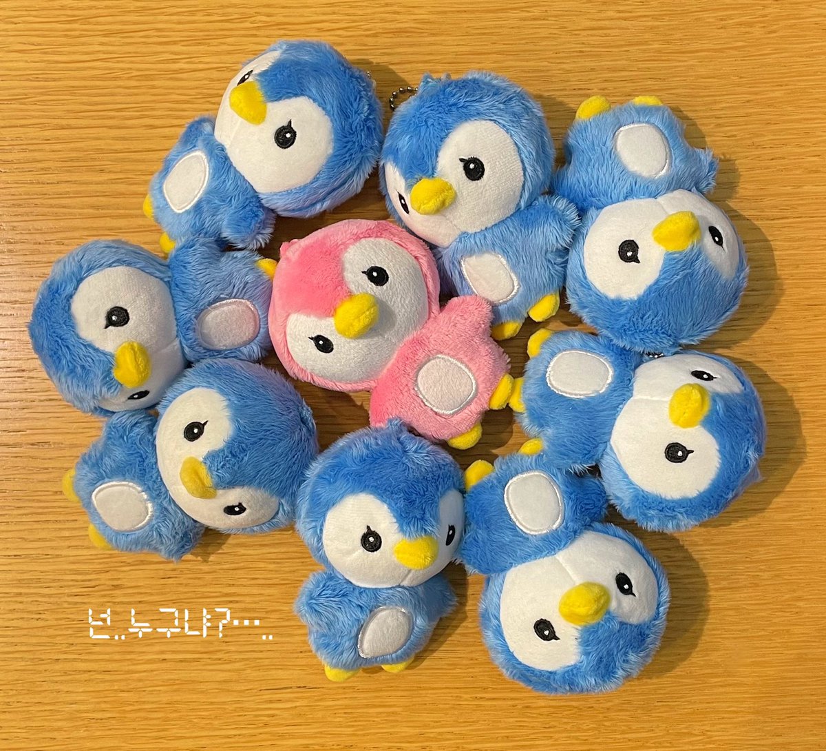 펭짜니 (@peng_zzani) / Posts / X