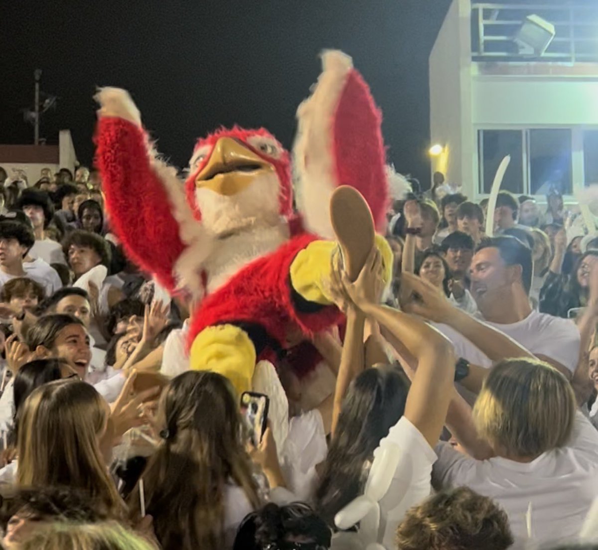 RUHS THE FLOCK tweet media