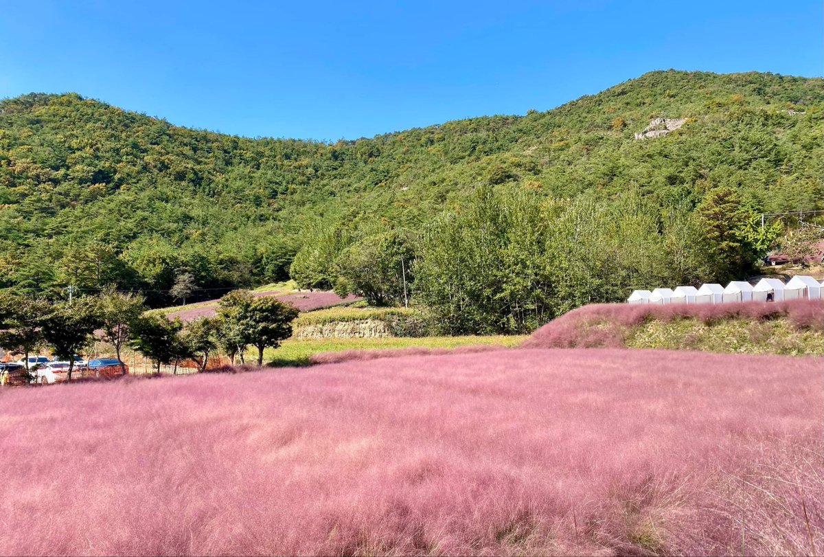 abs-cbn-news-on-twitter-would-you-travel-to-korea-to-see-this-scenery