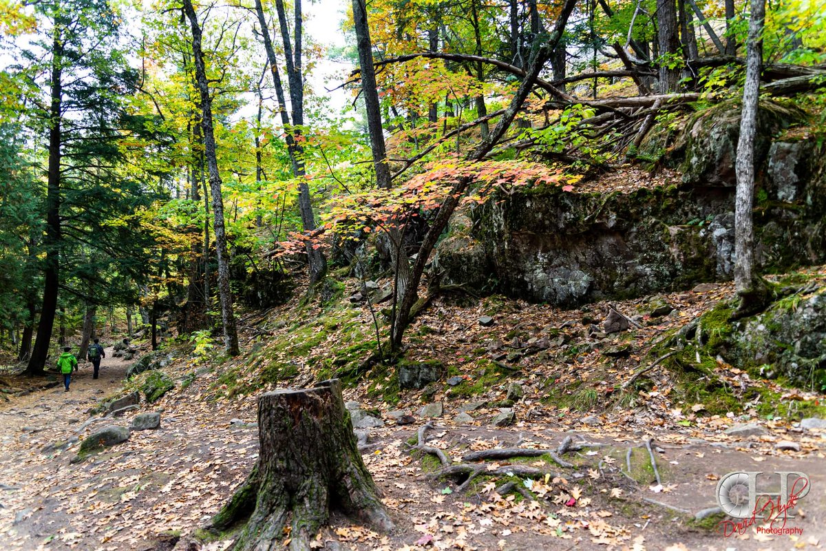 paraordanc's tweet photo. Along way down from the summit of Sugarloaf Mountain.
.
.
.
.
.
.
#marquette
#michigan
#puremichigan❤️
#photograph
#photography
#greatlakesstate
#mi_photography
#fallcolors
#fall
#colortour
#upperpeninsula https://t.co/zCG30XxIff